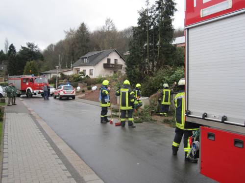 2015_04_02_baum_droht_1