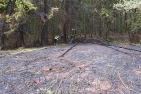 Flächenbrand in Richtung Nordfeld