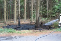 Flächenbrand unterhalb Höcherberghaus