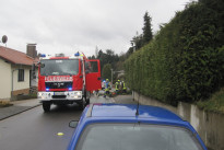 Baum droht mit Umsturz